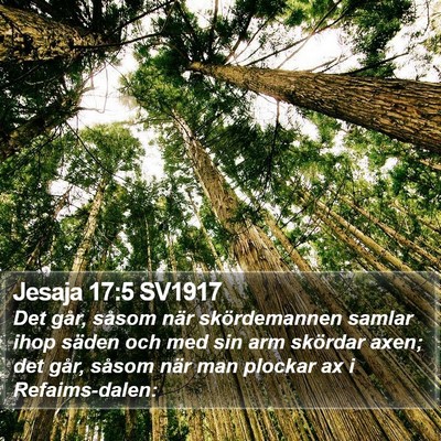 Jesaja 17:5 SV1917 Bible Verse Image