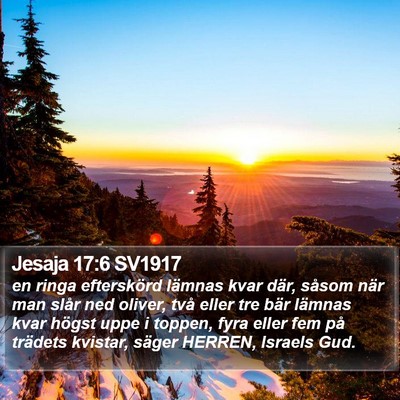 Jesaja 17:6 SV1917 Bible Verse Image