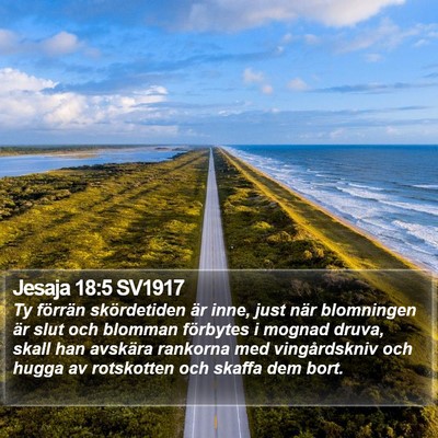 Jesaja 18:5 SV1917 Bible Verse Image