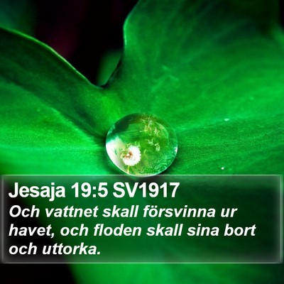 Jesaja 19:5 SV1917 Bible Verse Image