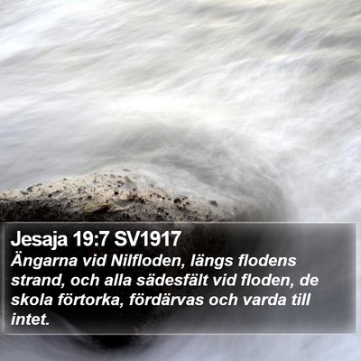 Jesaja 19:7 SV1917 Bible Verse Image