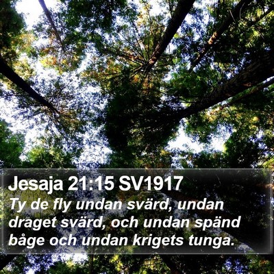 Jesaja 21:15 SV1917 Bible Verse Image