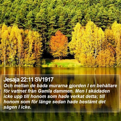 Jesaja 22:11 SV1917 Bible Verse Image