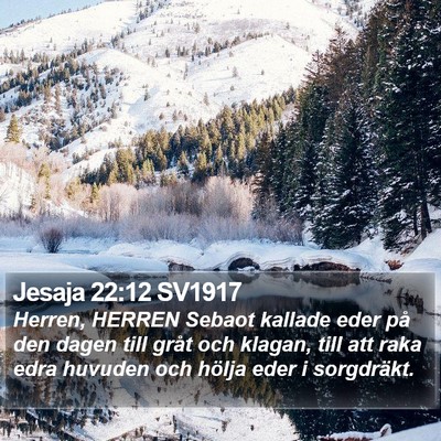 Jesaja 22:12 SV1917 Bible Verse Image