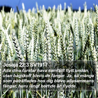 Jesaja 22:3 SV1917 Bible Verse Image