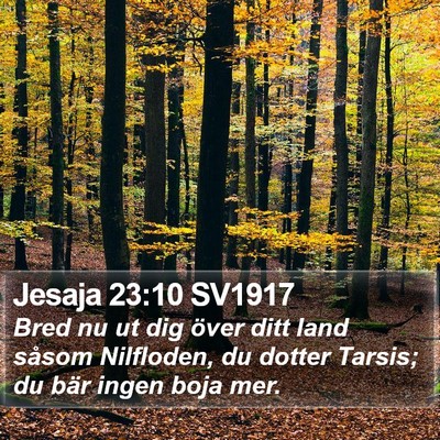 Jesaja 23:10 SV1917 Bible Verse Image