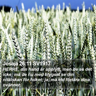 Jesaja 26:11 SV1917 Bible Verse Image