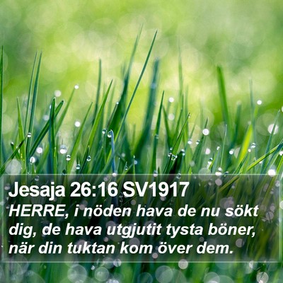 Jesaja 26:16 SV1917 Bible Verse Image