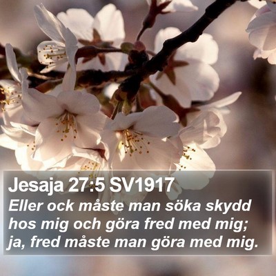 Jesaja 27:5 SV1917 Bible Verse Image