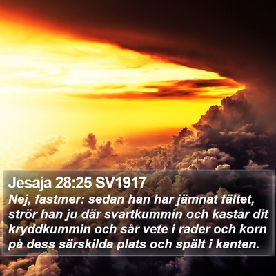Jesaja 28:25 SV1917 Bible Verse Image