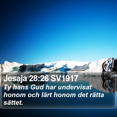 Jesaja 28:26 SV1917 Bible Verse Image