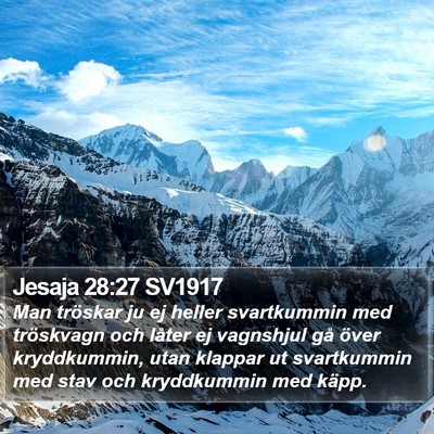 Jesaja 28:27 SV1917 Bible Verse Image