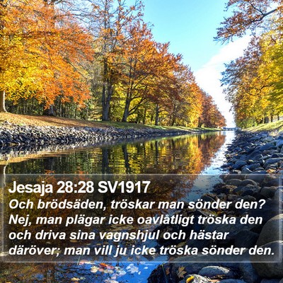 Jesaja 28:28 SV1917 Bible Verse Image
