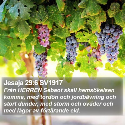Jesaja 29:6 SV1917 Bible Verse Image