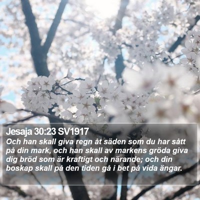 Jesaja 30:23 SV1917 Bible Verse Image