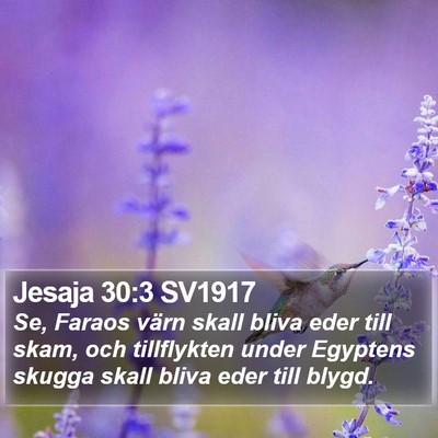 Jesaja 30:3 SV1917 Bible Verse Image