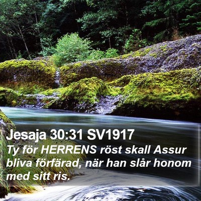 Jesaja 30:31 SV1917 Bible Verse Image