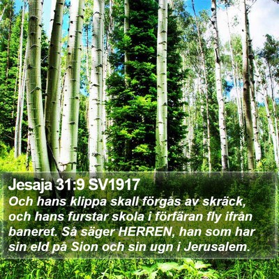 Jesaja 31:9 SV1917 Bible Verse Image