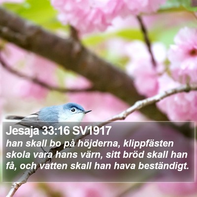 Jesaja 33:16 SV1917 Bible Verse Image