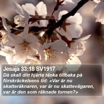 Jesaja 33:18 SV1917 Bible Verse Image