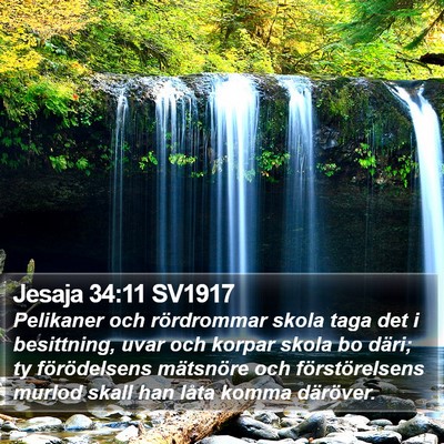Jesaja 34:11 SV1917 Bible Verse Image