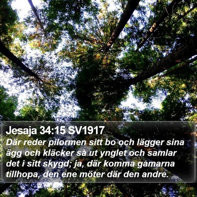 Jesaja 34:15 SV1917 Bible Verse Image