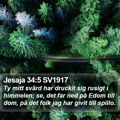Jesaja 34:5 SV1917 Bible Verse Image
