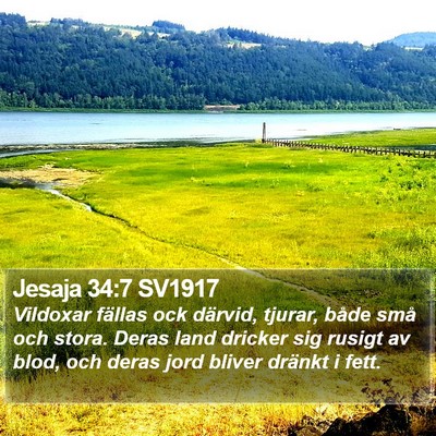 Jesaja 34:7 SV1917 Bible Verse Image