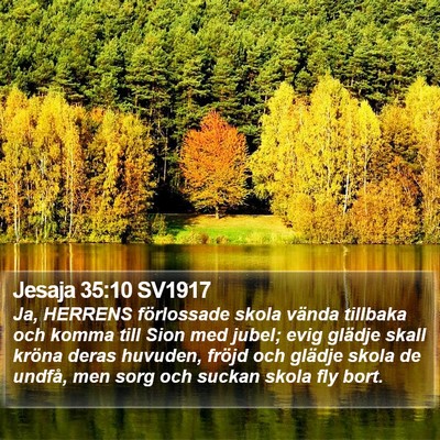 Jesaja 35:10 SV1917 Bible Verse Image