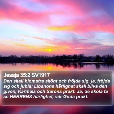 Jesaja 35:2 SV1917 Bible Verse Image