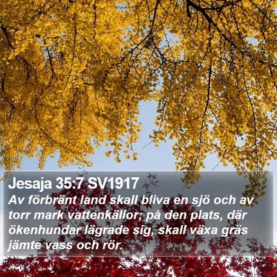 Jesaja 35:7 SV1917 Bible Verse Image