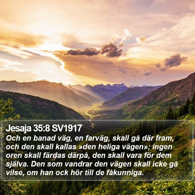 Jesaja 35:8 SV1917 Bible Verse Image