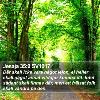 Jesaja 35:9 SV1917 Bible Verse Image