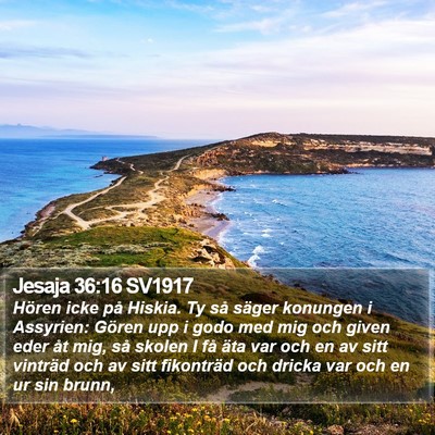 Jesaja 36:16 SV1917 Bible Verse Image