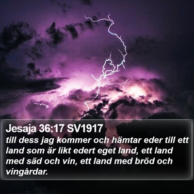 Jesaja 36:17 SV1917 Bible Verse Image