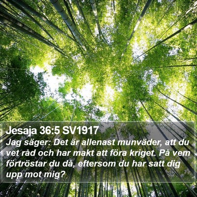 Jesaja 36:5 SV1917 Bible Verse Image
