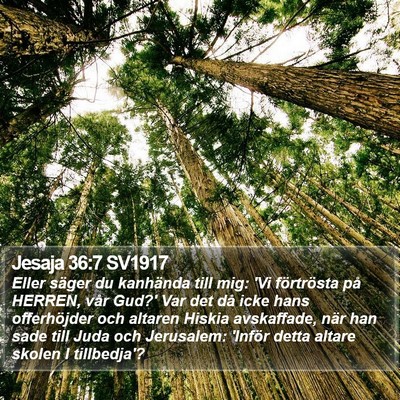 Jesaja 36:7 SV1917 Bible Verse Image