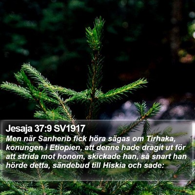 Jesaja 37:9 SV1917 Bible Verse Image