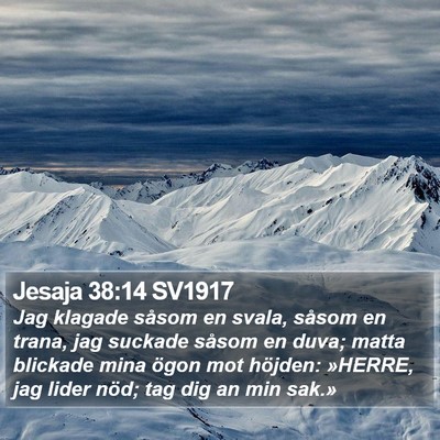 Jesaja 38:14 SV1917 Bible Verse Image