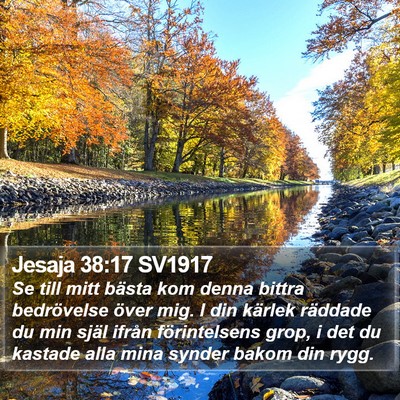 Jesaja 38:17 SV1917 Bible Verse Image