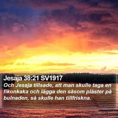 Jesaja 38:21 SV1917 Bible Verse Image