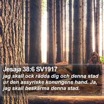 Jesaja 38:6 SV1917 Bible Verse Image