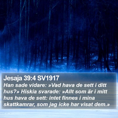Jesaja 39:4 SV1917 Bible Verse Image