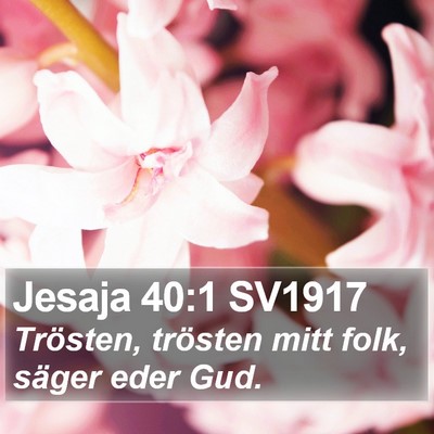 Jesaja 40:1 SV1917 Bible Verse Image