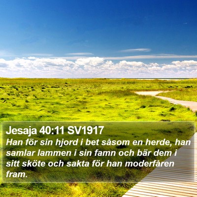Jesaja 40:11 SV1917 Bible Verse Image