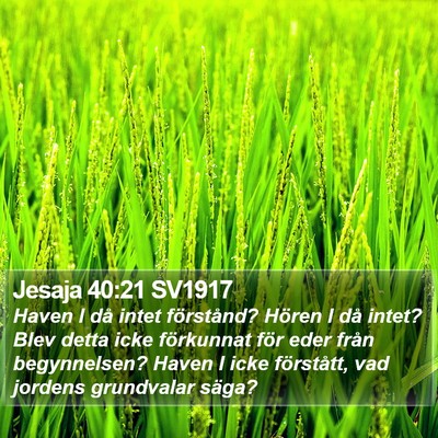 Jesaja 40:21 SV1917 Bible Verse Image