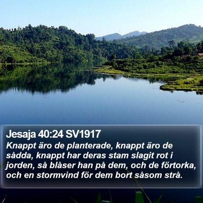 Jesaja 40:24 SV1917 Bible Verse Image