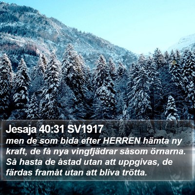 Jesaja 40:31 SV1917 Bible Verse Image