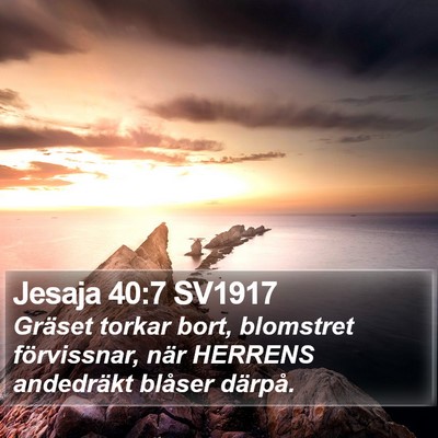 Jesaja 40:7 SV1917 Bible Verse Image