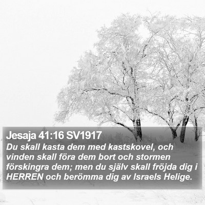 Jesaja 41:16 SV1917 Bible Verse Image